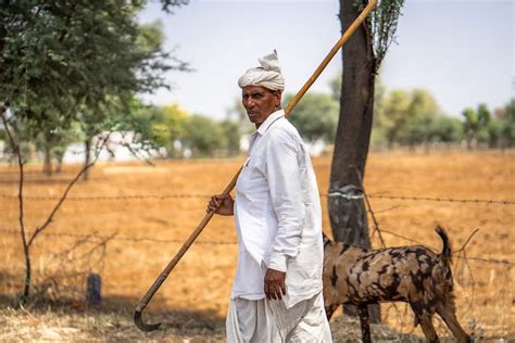 The One-Eyed Man and His Goat -  A Timeless Ethiopian Fable Exploring Themes of Trust, Deception, and Unexpected Reward!